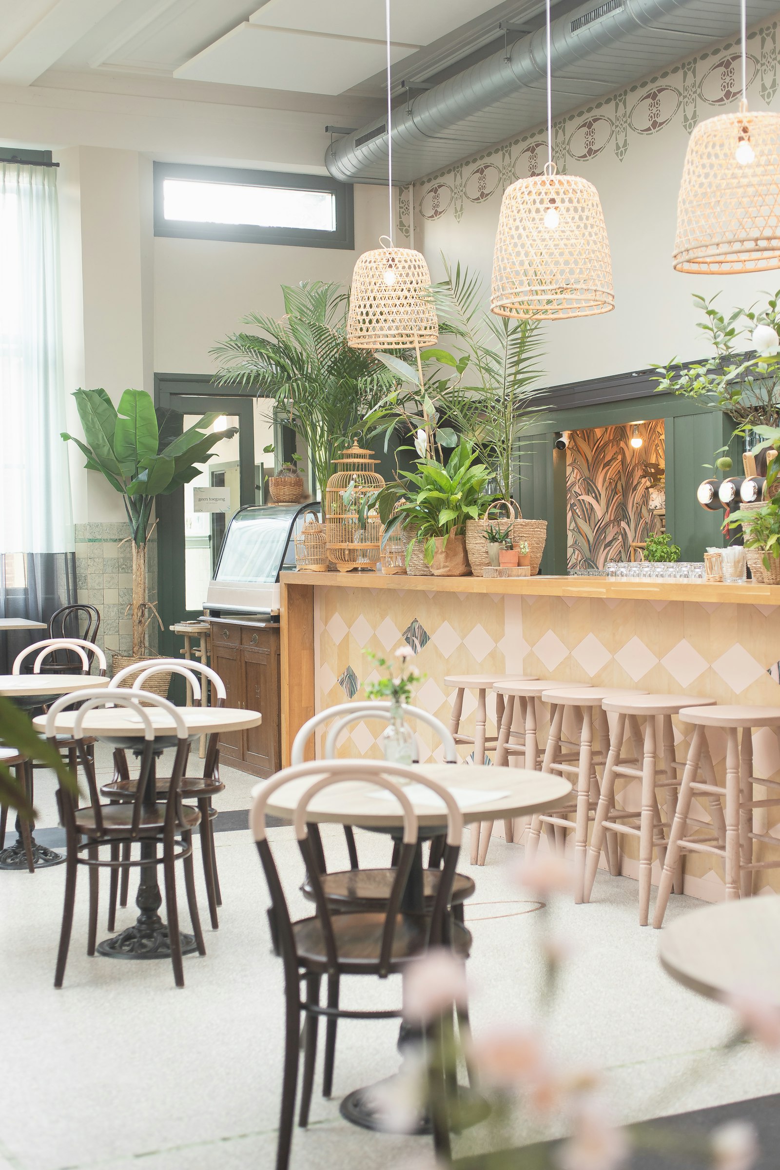 Hasır lambalı aydınlık kafe