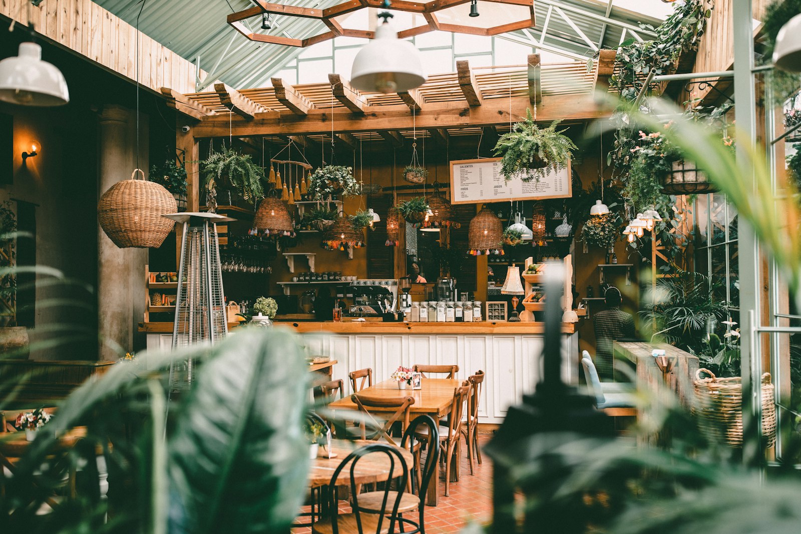 Bitkilerle dolu kafe iç mekânı